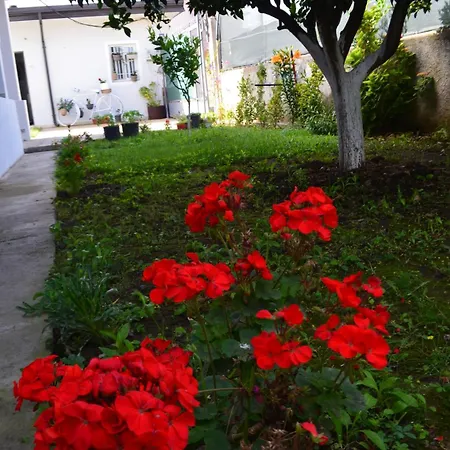 Rustic Tale Guesthouse Exterior foto