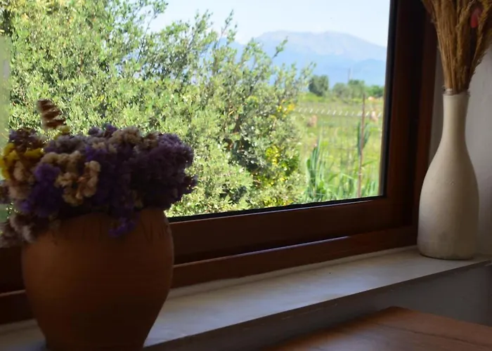 Rustic Tale Guesthouse
