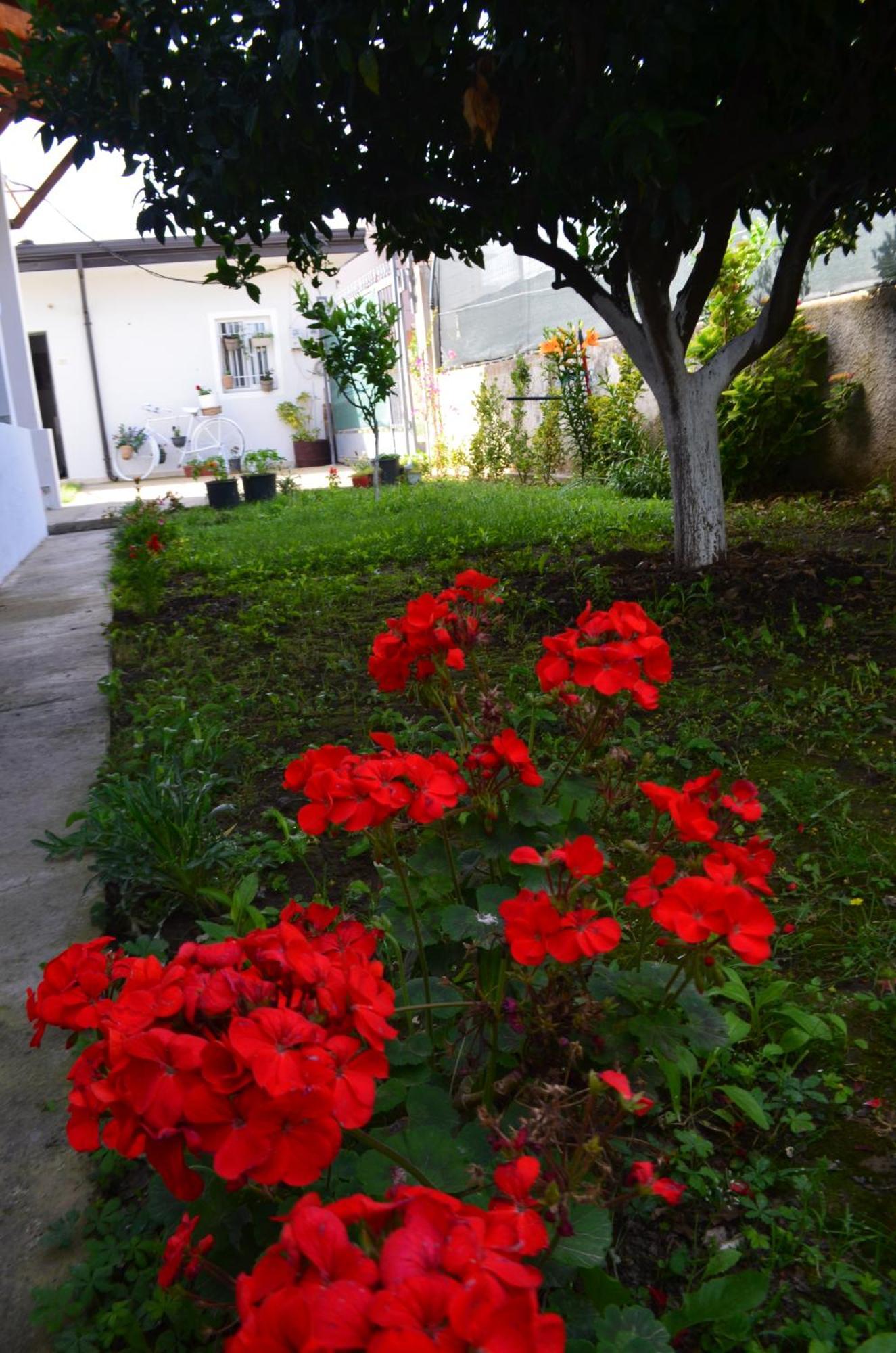 Alloggio in famiglia Rustic *