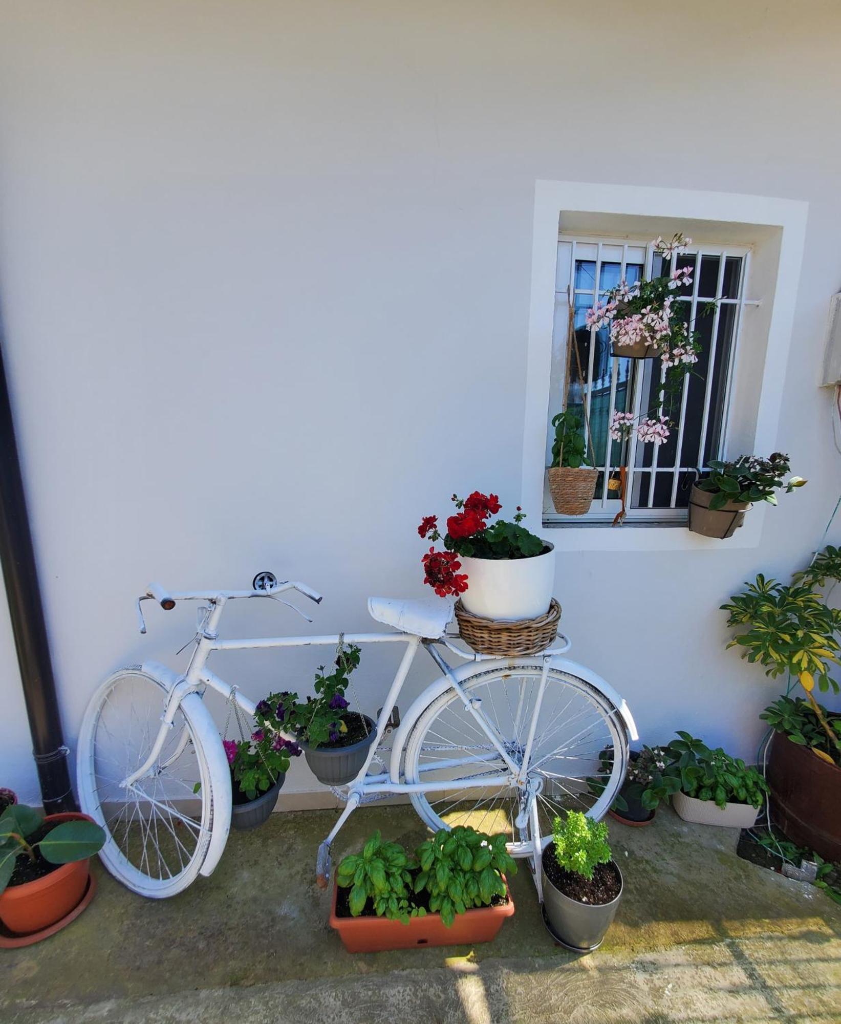 Homestay Rustic Tale