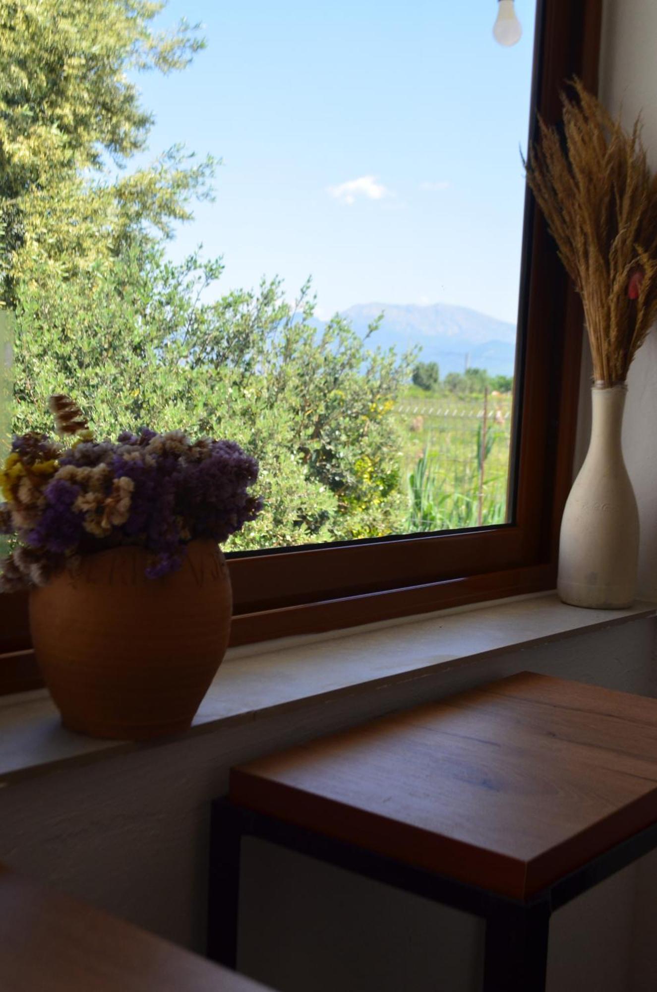Rustic Homestay Tale